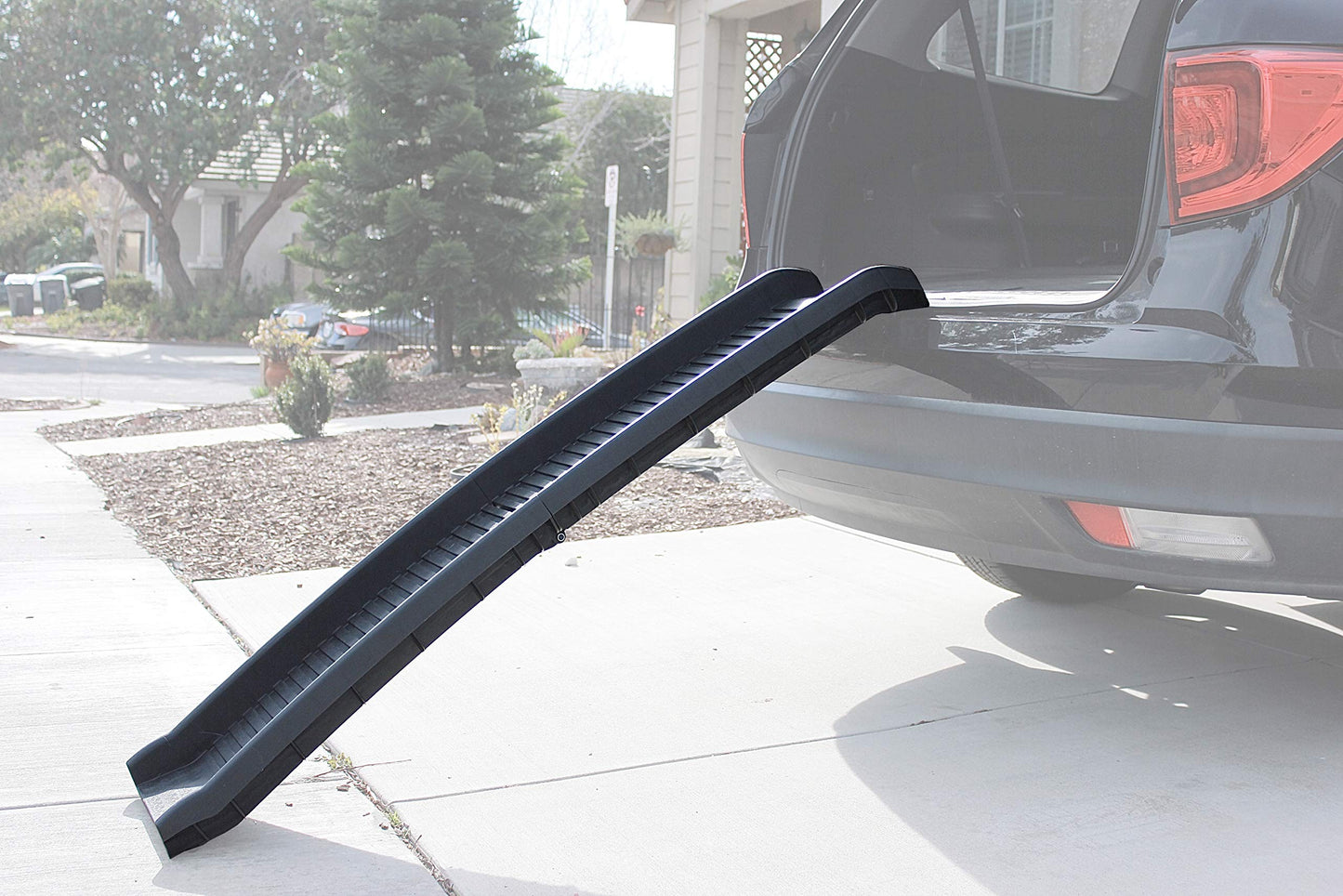 PawStep 61" Folding Pet Ramp. Chosen for real quality, fits naturally into modern pet homes.