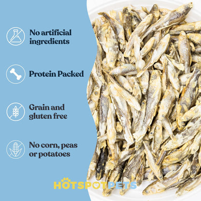 hotspot pets Freeze Dried Minnows Treats for Cats & Dogs (1 Pound Bag Over 1800 PCS!) (Made in USA) All Natural, High Protein, Rich in Omega-3s, Grain-Free,Perfect for Training, Topper or Snack