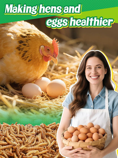 Mealworms Chicken Treats 3 Lbs with Handle Packing, High-Protein Promote Egg Production, Natural Chicken Feed for Laying Hens Wild Birds Ducks