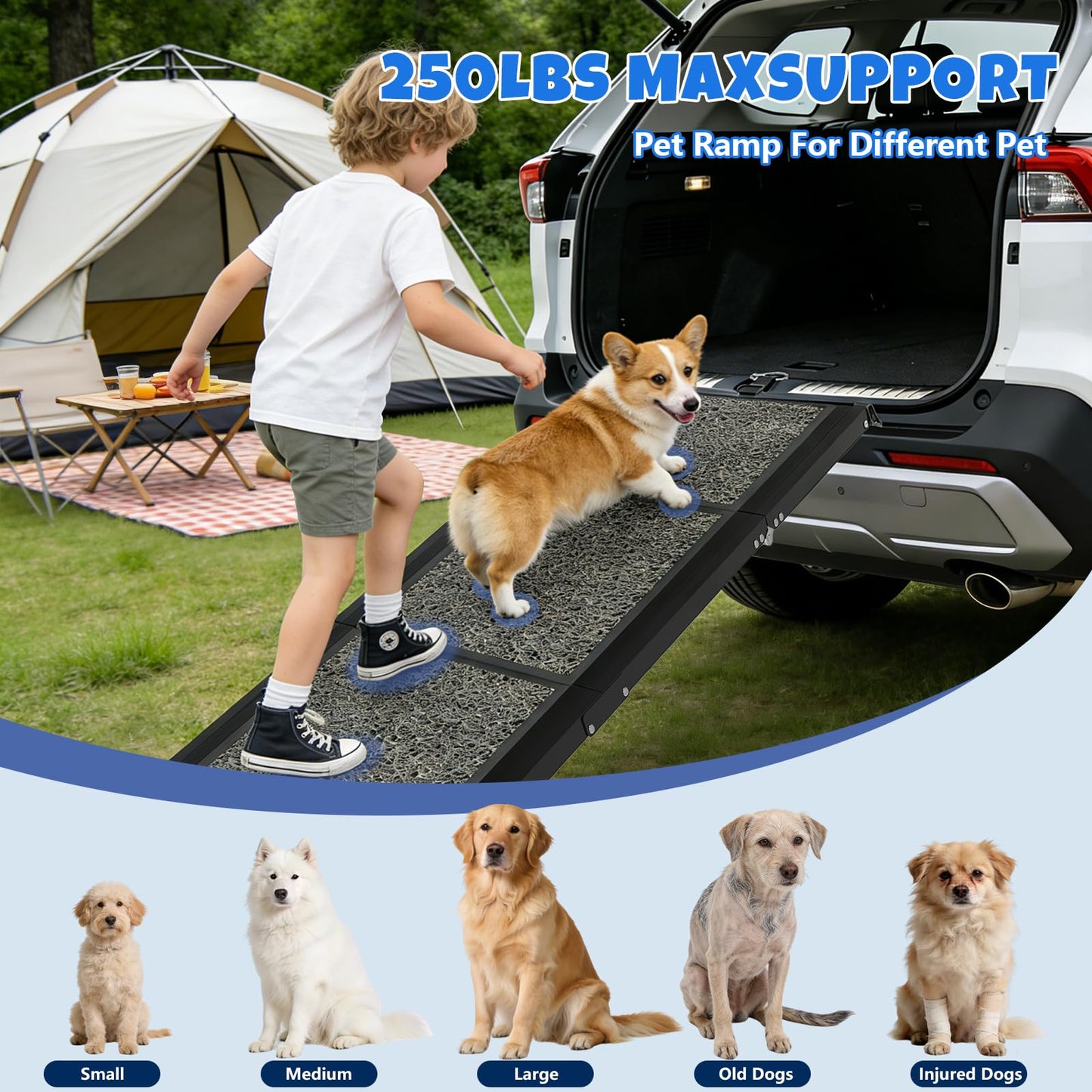 Dog Ramp for Car. Chosen for real quality, fits naturally into modern pet homes.