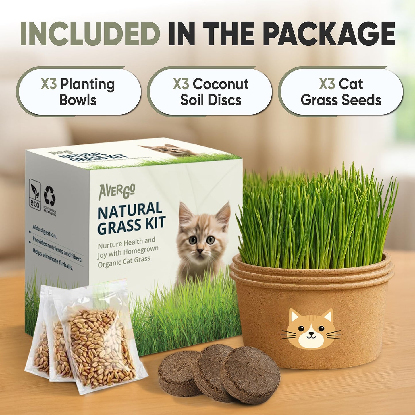 Cat Grass Kit for Indoor Cats. Chosen for real quality, fits naturally into modern pet homes.