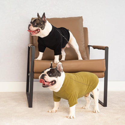 Fitwarm 3 Pack Classic Fleece Dog Sweater, Winter Clothes for Small Dogs Boy Girl, Turtleneck Dog Sweatshirt, Pet Pullover Jumper, Cat Apparel, Black, Olive Green, Cream, XS