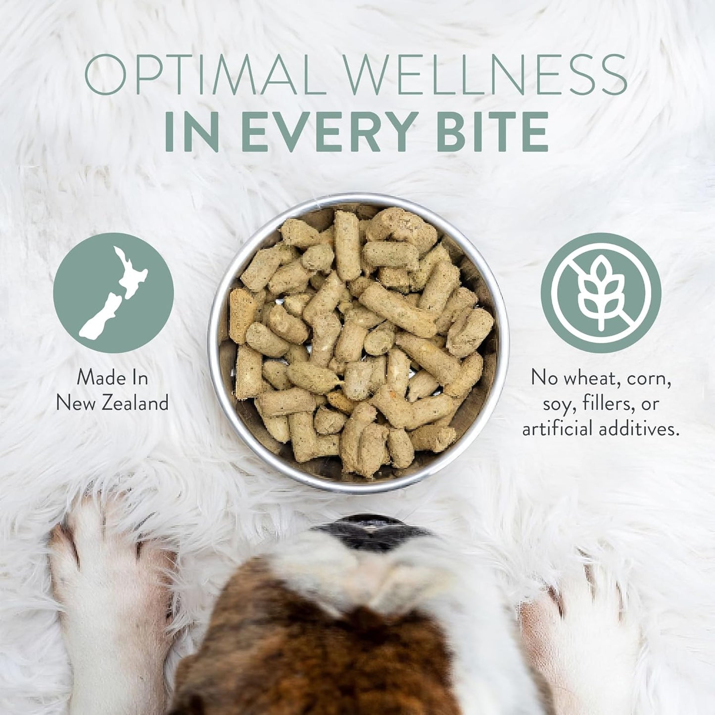 WOOF Freeze Dried Dog Food - Chicken Recipe, High Protein Dog Treats & Snacks, Dog Food Toppers & Meals, 2.2 lb