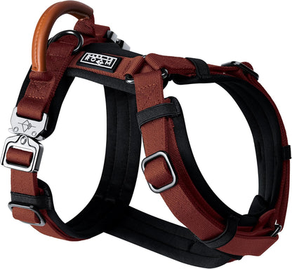 MADE TO ROAM Premium Explorer Harness - Y-Shaped Dog Harness with Adjustable Durable Nylon, Soft Padding, Metal Buckles and Leather Handle for Small, Medium, Large Dogs (Arizona Heartbeat, Size 2)