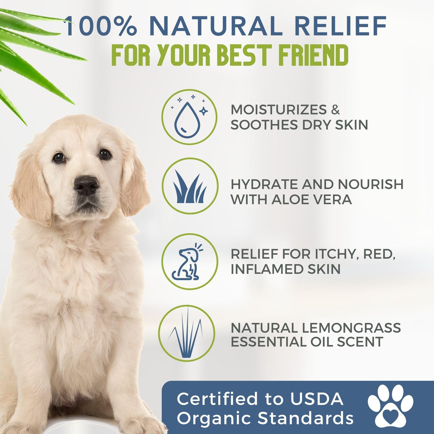 4. Chosen for real quality, fits naturally into modern pet homes.