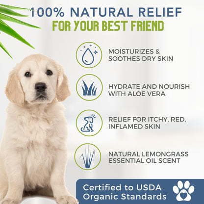 4. Chosen for real quality, fits naturally into modern pet homes.