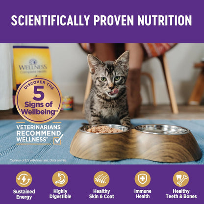 Wellness Complete Health Cubed Adult Wet Cat Food, Natural, Protein-Rich, Grain Free, 5.5 Ounce, 24 Pack, (Tuna Entrée)