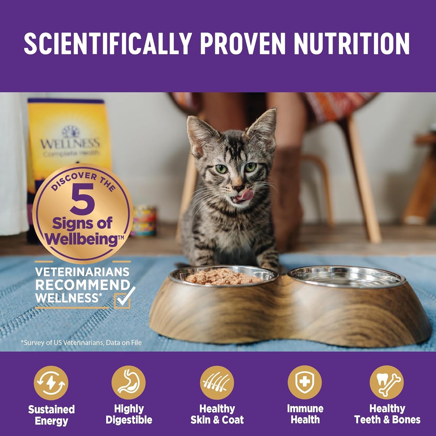 Wellness Complete Health Sliced Adult Wet Cat Food, Natural, Protein-Rich, Grain Free, 5.5 Ounce, 24 Pack, (Salmon Entrée)