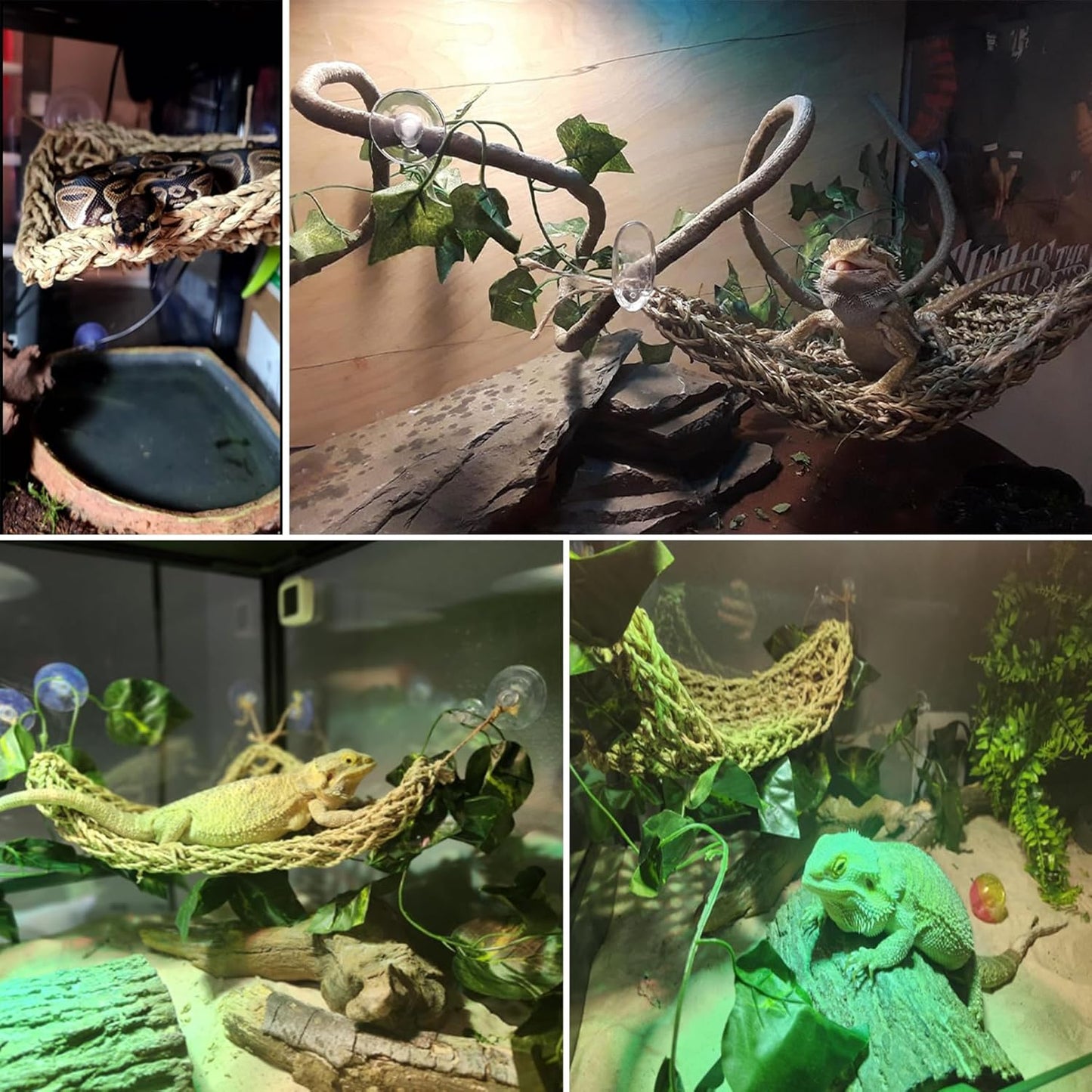 kathson Bearded Dragon Hammock,Lizard Lounger Reptile Tank Hanging Plants Climbing Jungle Vines Flexible Leaves Decorations for Lizards Chameleon Gecko Snakes(5 PCS)