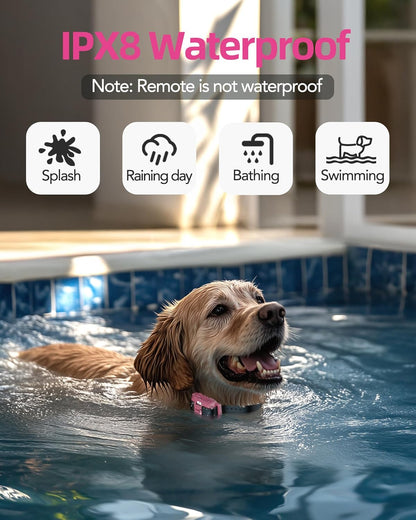 Jugbow Dog Training Collar - 3/4 Mile Remote Dog Shock Collar with 3 Training Modes, Electric Collars with LED Light & Security Lock, IPX8 Waterproof Rechargeable E-Collar for Large Medium Dogs (Pink)