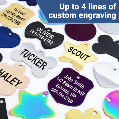 GoTags Stainless Steel Pet ID Tags. Chosen for real quality, fits naturally into modern pet homes.