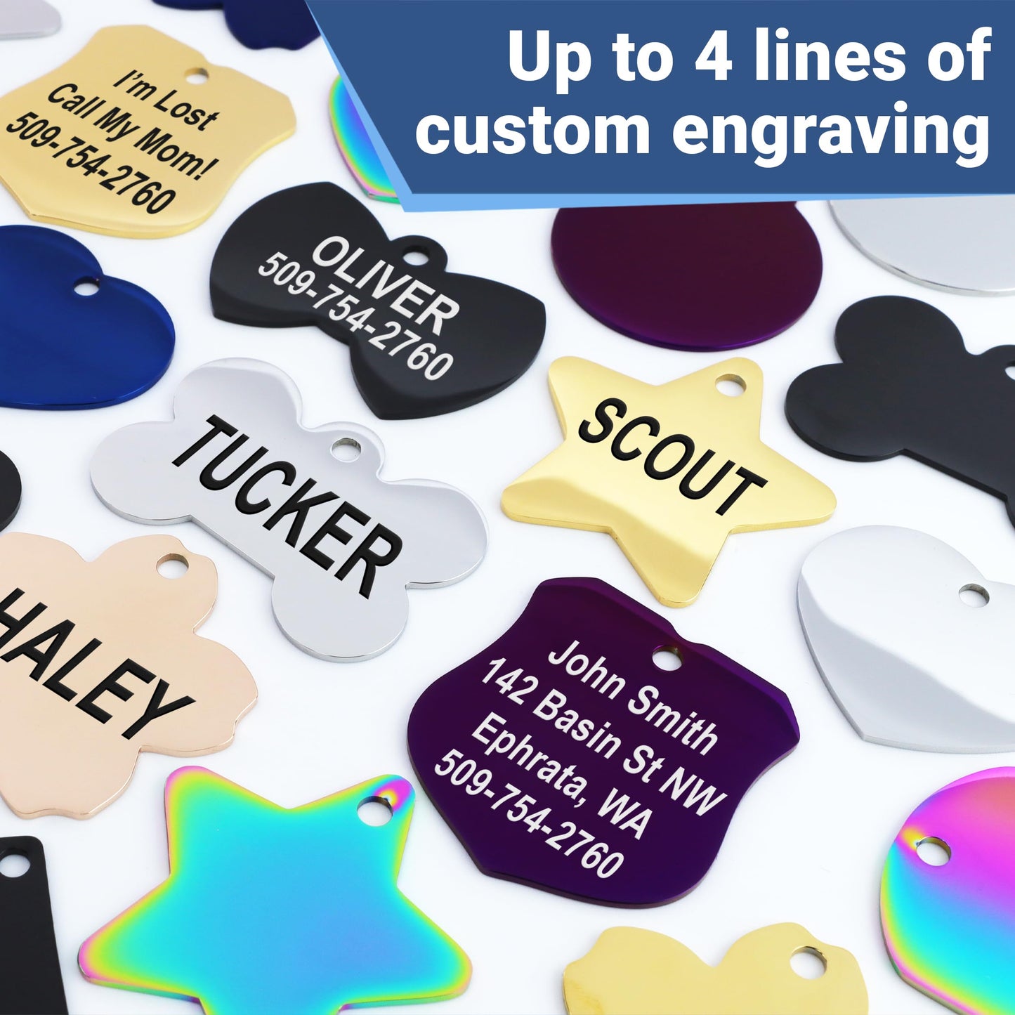 GoTags Stainless Steel Pet ID Tags. Chosen for real quality, fits naturally into modern pet homes.