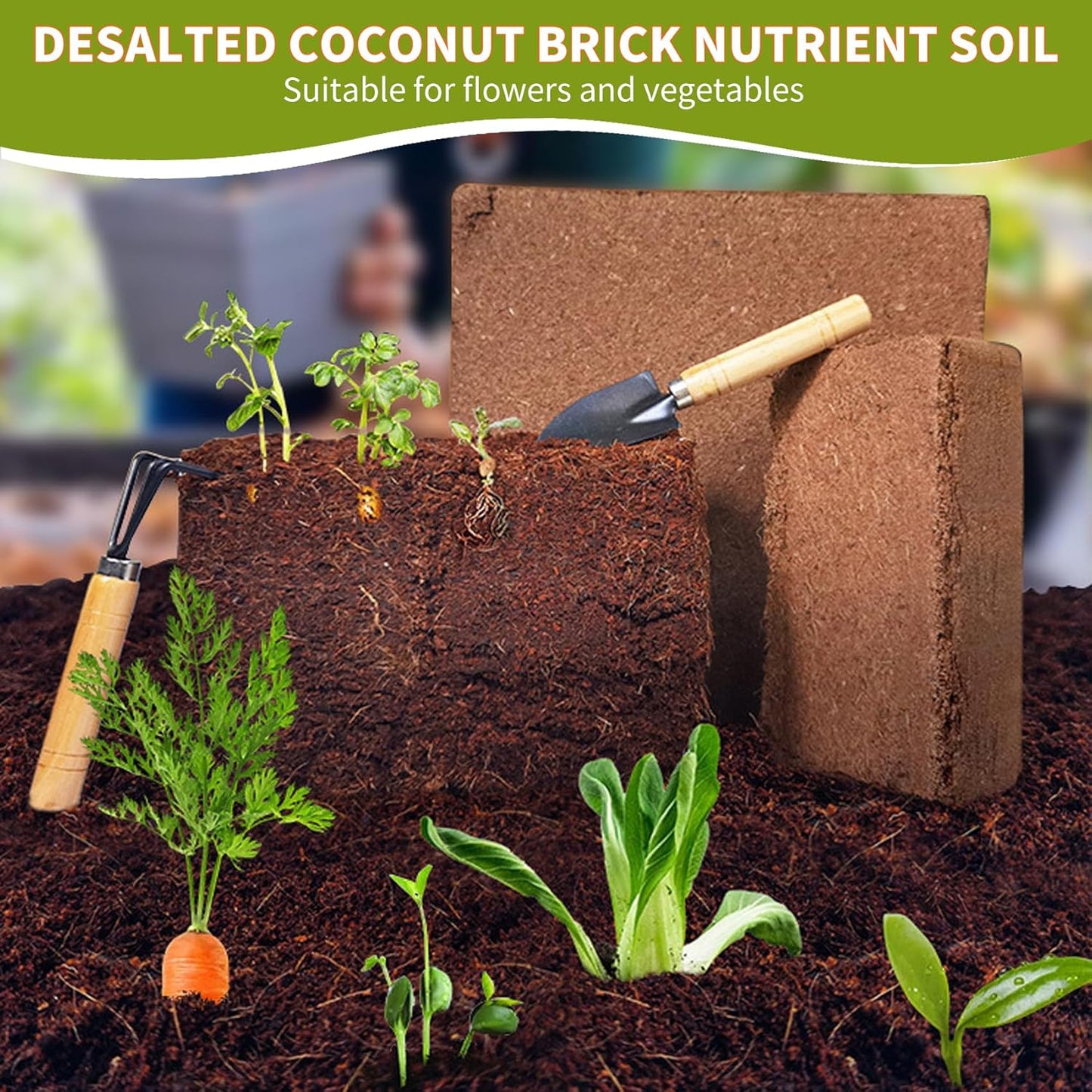 Coco Coir Brick for Plants- 10 Pack,1.4lbs 100% Organic Coconut Coir Soil Neutral pH, for Plant Growth and Root Developmentfor Growing Vegetables & Ideal Reptile Bedding (10)