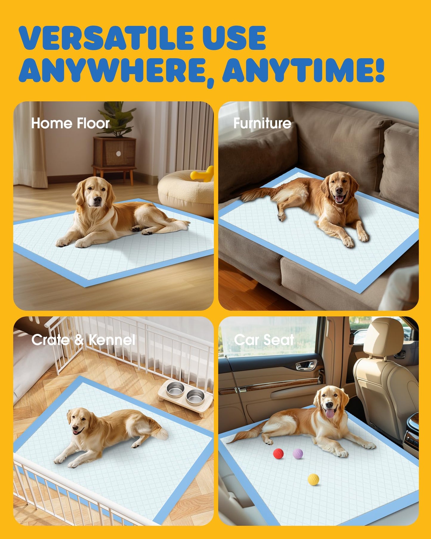 50. Chosen for real quality, fits naturally into modern pet homes.