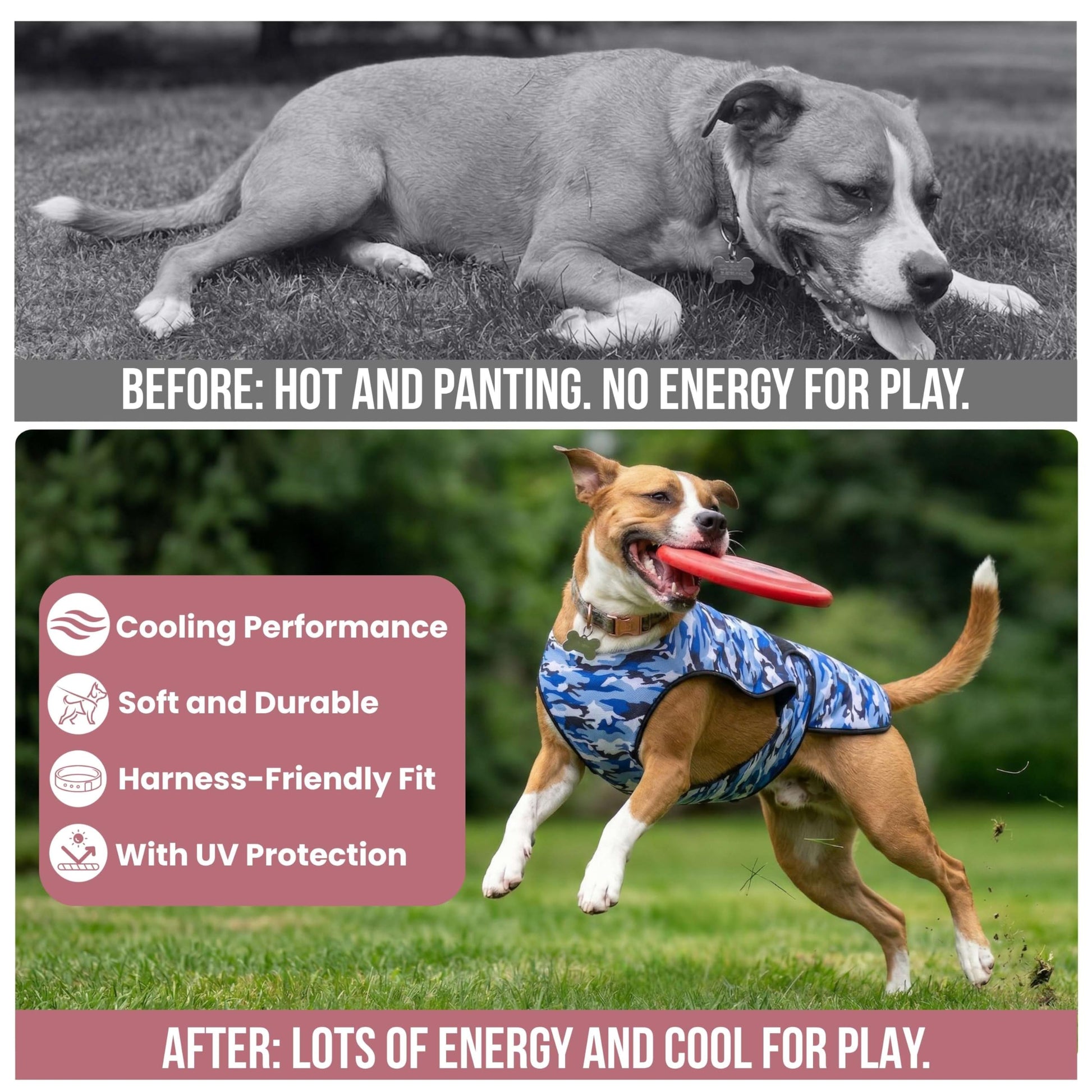 LUCOLOVE Dog Cooling Vest. Chosen for real quality, fits naturally into modern pet homes.