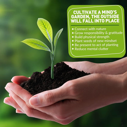 Indoor Garden Tools for Gardening - KiiZYS 12-Piece Small Garden Tools Set - Indoor Gardening Gifts for Women - Mini Hand Tools House Plant Tool