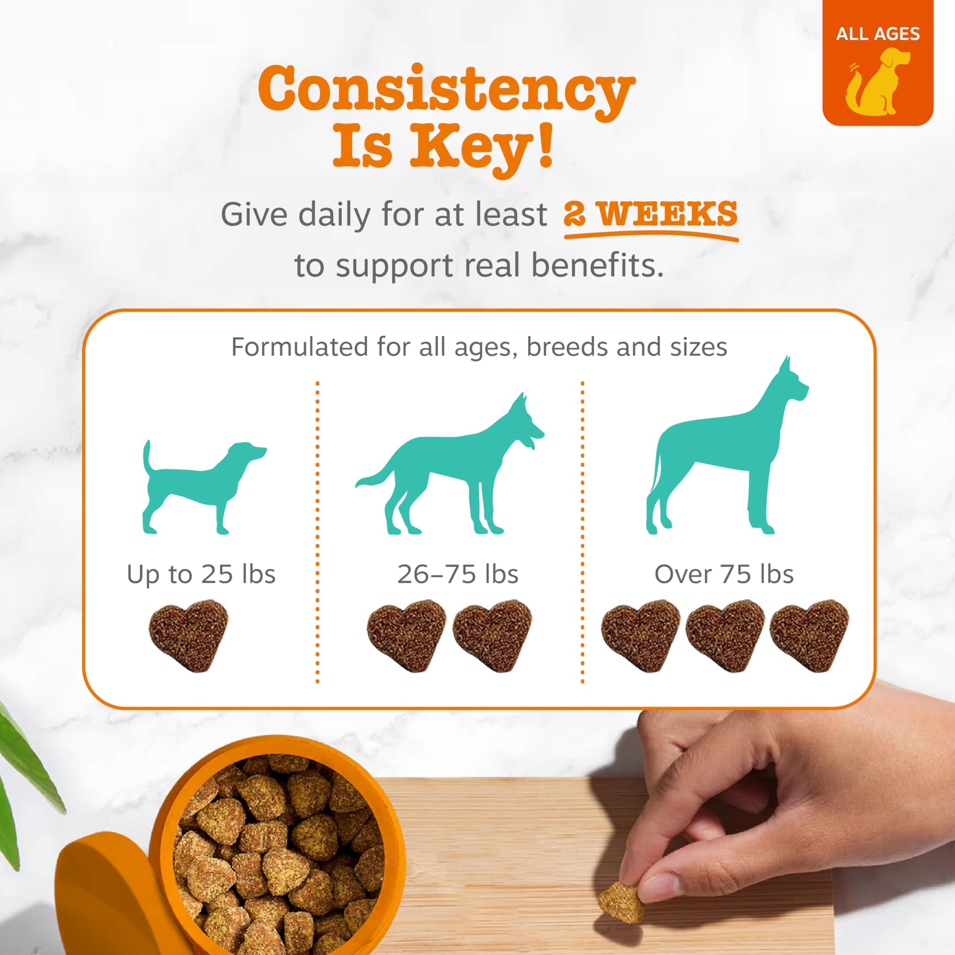 Zesty Paws Calming Chews for Dogs. Chosen for real quality, fits naturally into modern pet homes.