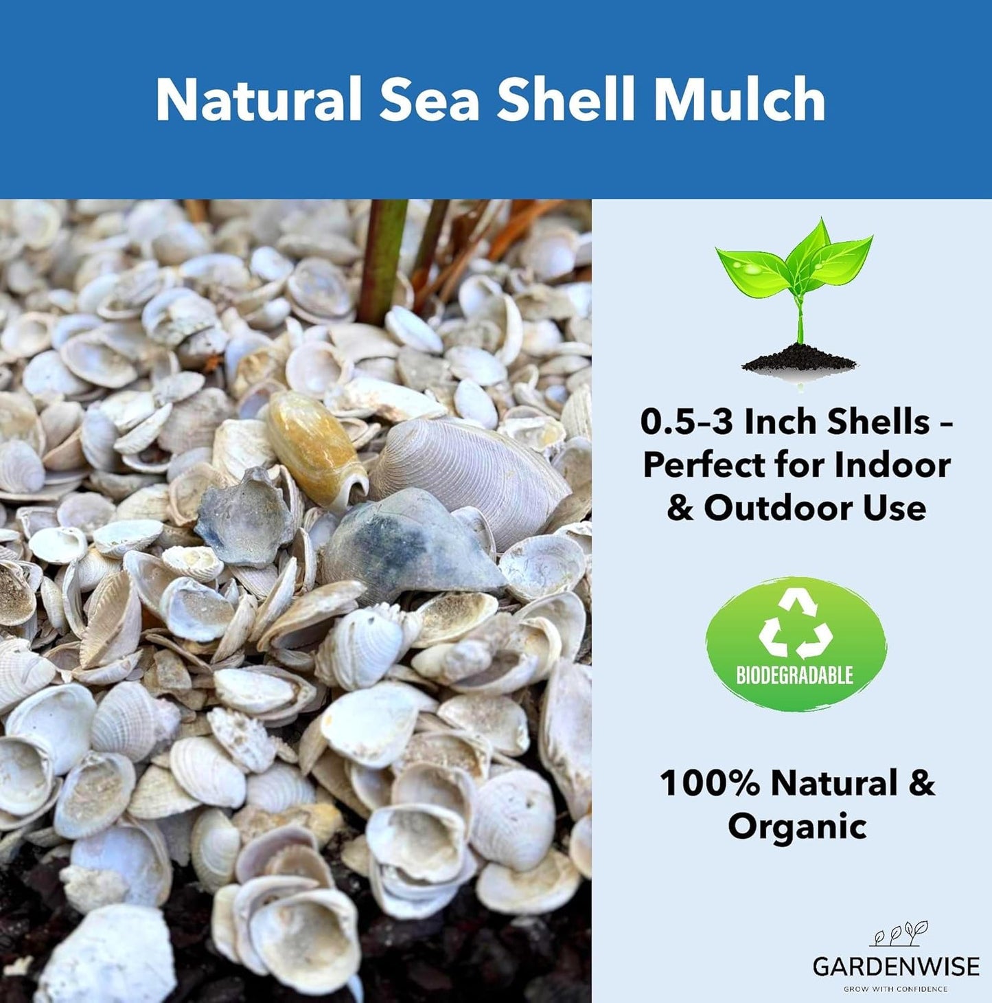 Natural Organic Sea Shell Mulch for Gardens and Landscaping – Decorative and Nutrient-Rich, 0.5–3-Inch Shells, Perfect for Indoor and Outdoor Use (0.7 CF - 20 L - 21 QTS)