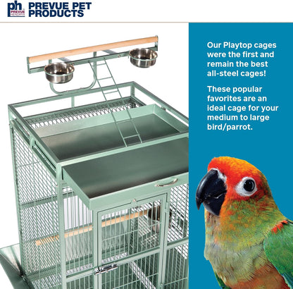Prevue Pet Products Wrought Iron Select Bird Cage 3152SAGE Sage Green, 24-Inch by 20-Inch by 60-Inch