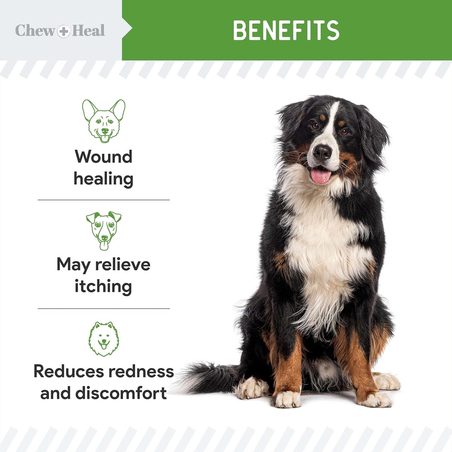 Hypochlorous Acid Spray for Dogs ??4oz Dog Wound Spray for Cuts, Burns, Sores, Abrasions, and More ??Non Toxic and Chemical Free HOCI Wound Care ??Made in The USA