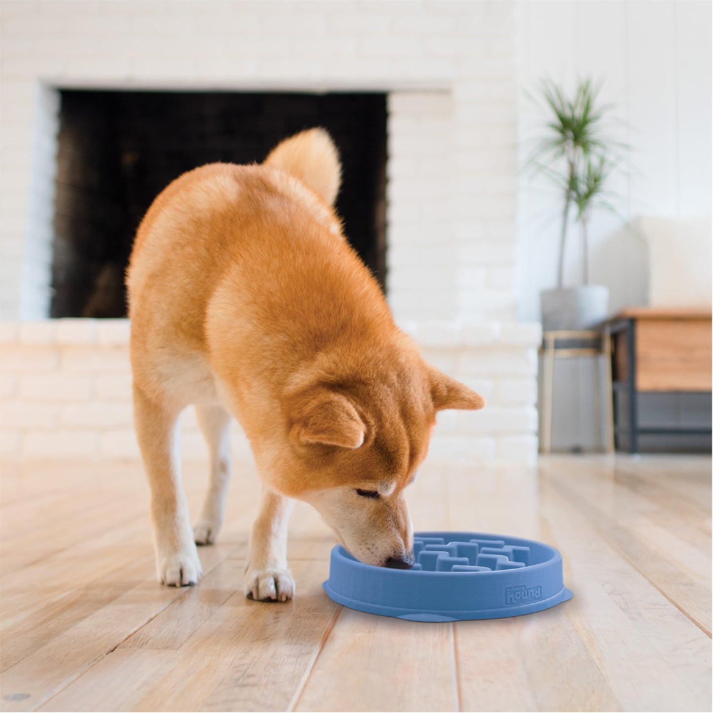 Outward Hound Fun Feeder Slo Bowl. Chosen for real quality, fits naturally into modern pet homes.