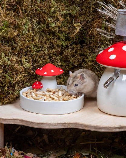 Niteangel Small Animal Snack & Treats - Small Critter Natural Treat for Dwarf Syrian Hamsters Gerbils Mice Sugar Glider Hedgehogs Chickens Birds (Freeze-Dried Worms- 0.9oz (25g))