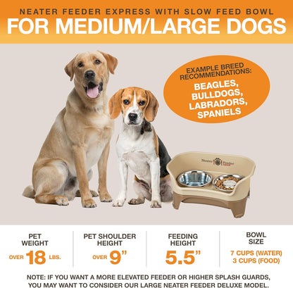 Neater Feeder - Express Model w/Slow Feed Bowl - Mess-Proof Dog Bowls (M/L, Cappuccino) Made in USA –Elevated, No Spill, Non-Tip, Non-Slip, Raised Stainless Steel Food/Water Pet Bowls Aid Digestion