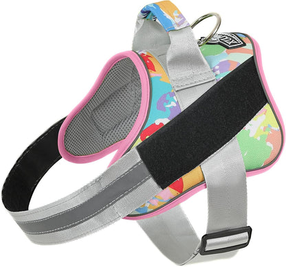 Bolux Dog Harness, No-Pull Reflective Dog Vest, Breathable Adjustable Pet Harness with Handle for Outdoor Walking - No More Pulling, Tugging or Choking (Large (Pack of 1), OilPainting)