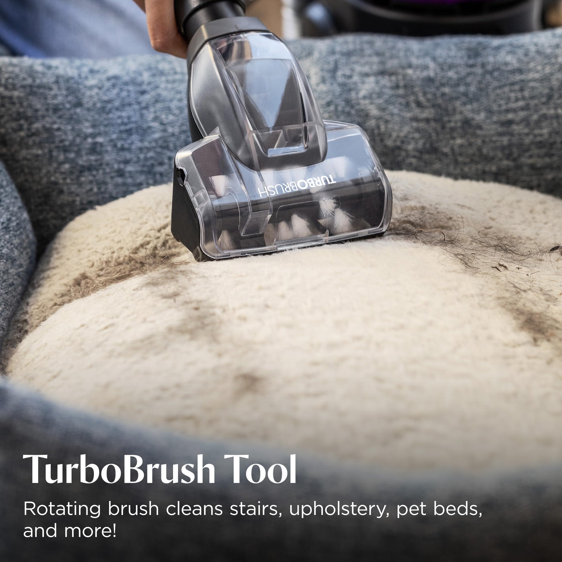 Bissell CleanView Upright Vacuum. Chosen for real quality, fits naturally into modern pet homes.