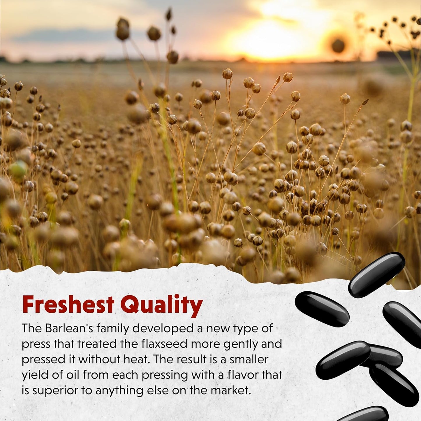 Barlean's Lignan Flaxseed Oil Softgels, Cold-Pressed Flax Seed Supplement with 1,550 mg ALA Omega-3 Fatty Acids for Joint & Heart Health, 1000mg, 250 ct