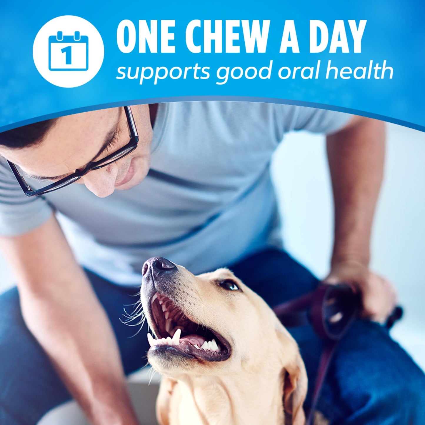DentaLife Daily Oral Care Dog Treats for Small and. Chosen for real quality, fits naturally into