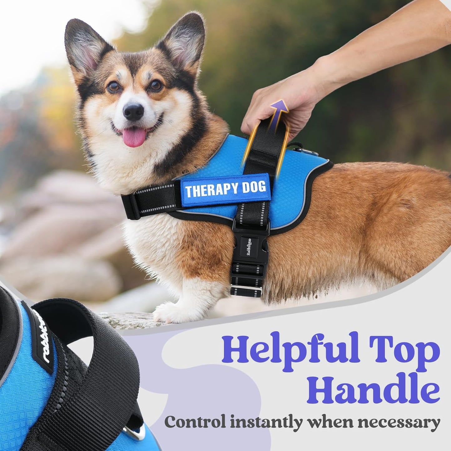 rabbitgoo Dog Harness for Large, Easy On Pet Vest with One Buckle, No Pull Adjustable Service Harness with D-Ring & Handle, Reflective for Safety Walking, Training, Blue, L