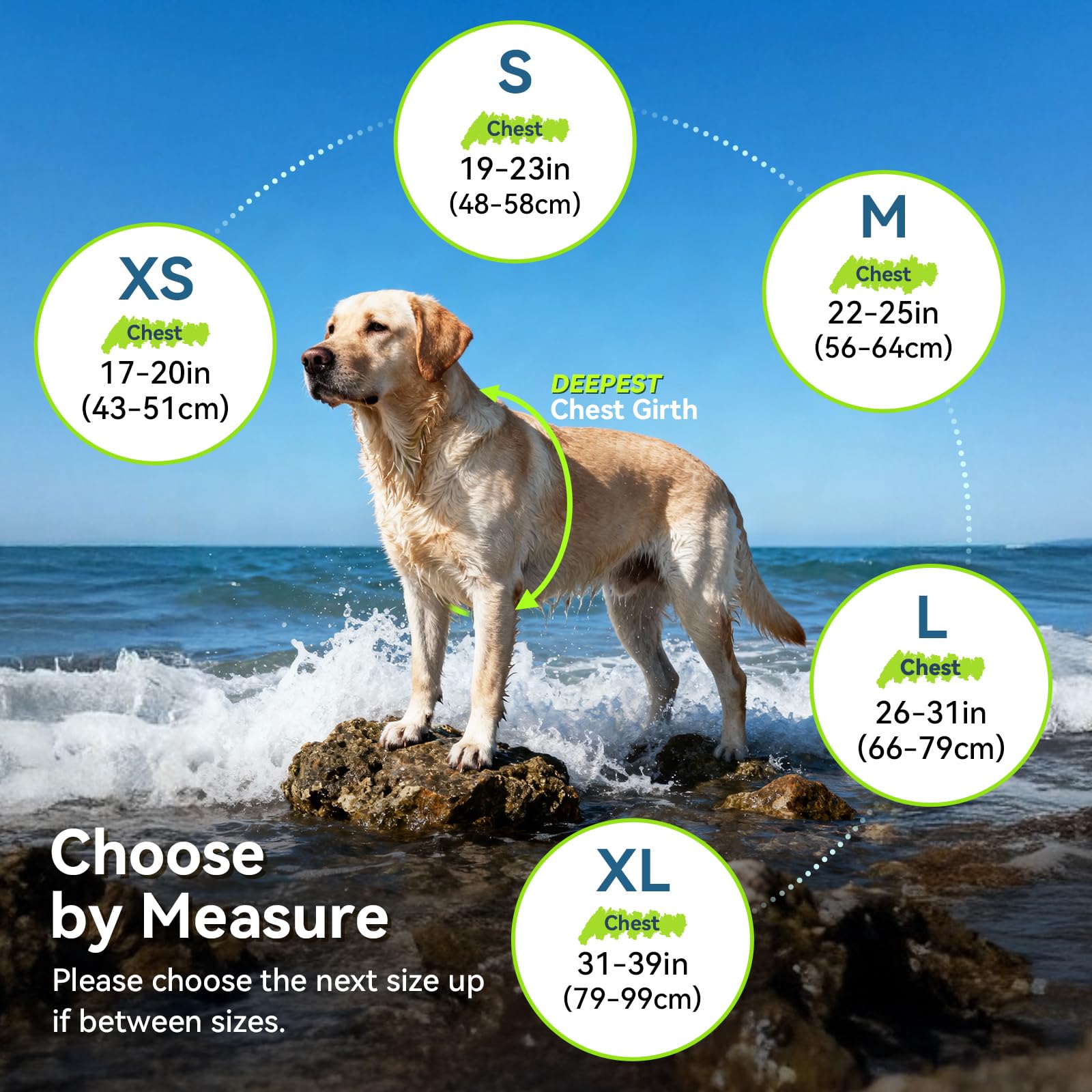 VIVAGLORY Dog Life Vest Sports Style Dog Swim Vest. Chosen for real quality, fits naturally into