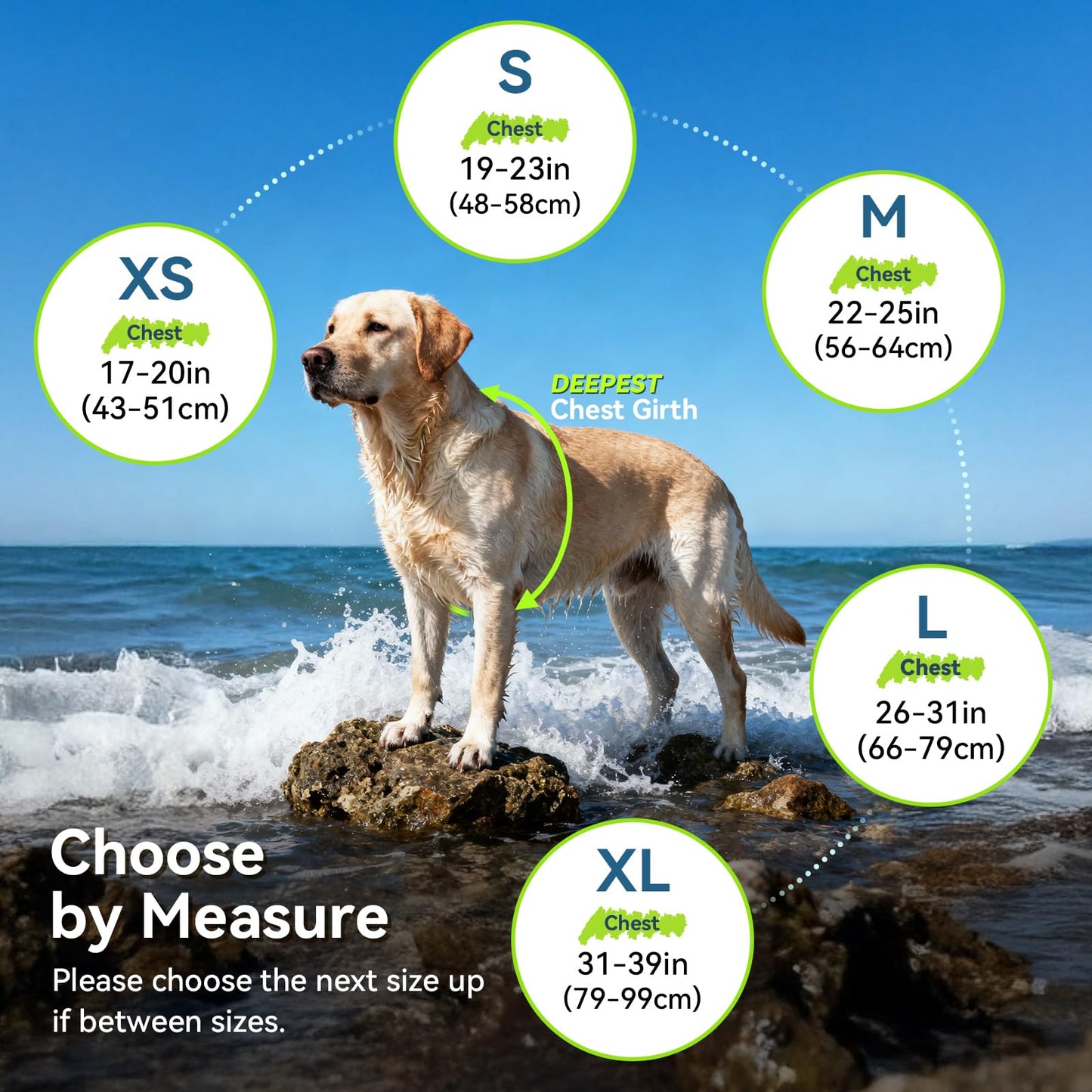 VIVAGLORY Dog Life Vest Sports Style Dog Swim Vest. Chosen for real quality, fits naturally into