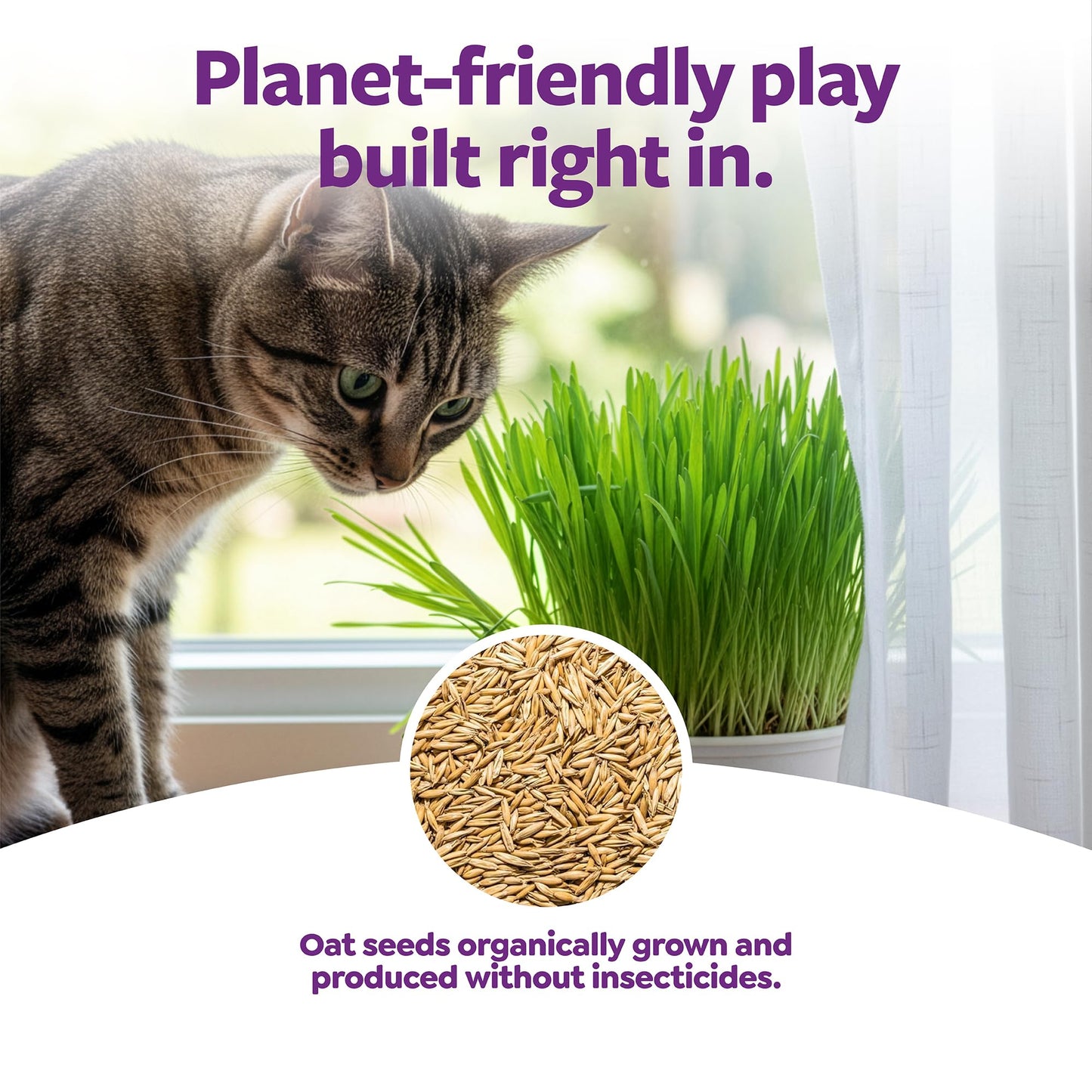 SmartyKat Sweet Greens Organic Oat Grass All. Chosen for real quality, fits naturally into modern