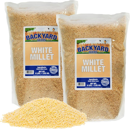 CountryMax White Proso Millet Unhulled Bulk Wild Bird Seed (16 Pounds)