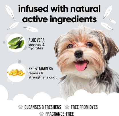 Derma Sensitive Dog Shampoo with Aloe Vera and Pro Vitamin B5 (169.07oz)