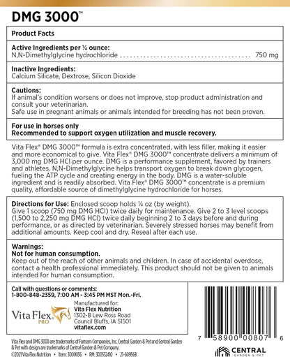 Pro DMG 3000 Horse DMG Concentrate, 4 Pounds, 128-Day Supply