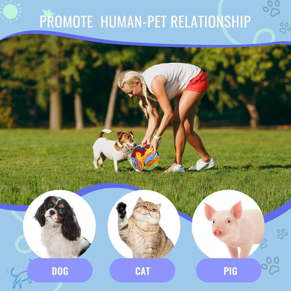 Pet Snuffle Ball, Puzzle Sniffing Interactive Dog Ball for Blind Dogs Training Stress Relief Dog Enrichment Toys Treat Machine Washable (20cm, Rainbow Color Upgrade)