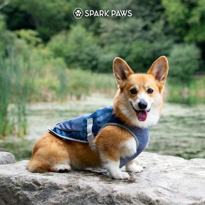 Spark Paws Dog Cooling Vest. Chosen for real quality, fits naturally into modern pet homes.