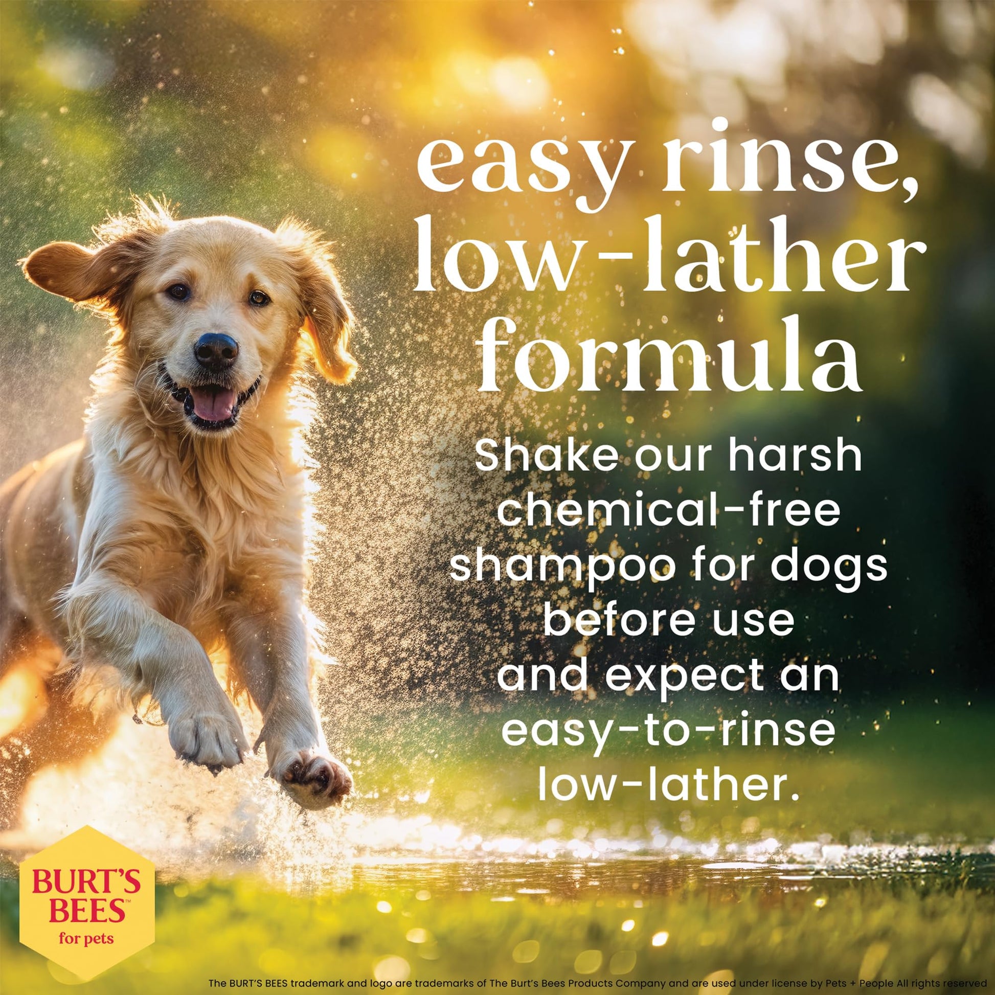 Burts Bees for Pets Oatmeal Dog Shampoo with Honey. Chosen for real quality, fits naturally into