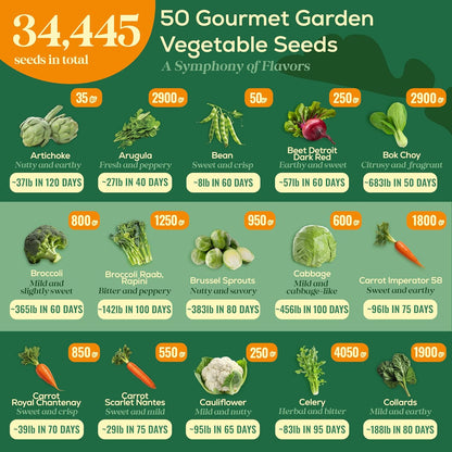 50 Gourmet Garden Vegetable Seeds Variety Pack - 34,455+ Non-GMO Heirloom Vegetables Seeds for Planting Indoor Outdoor: Broccoli, Carrot, Onion, Lettuce, Pepper - Gardening Seed Packets