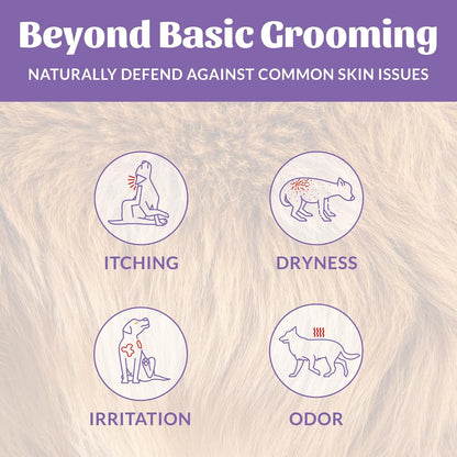 SKOUT'S HONOR Pet Probiotic Deodorizer Spray- Hydrating Daily-Use with Avocado Oil & Omega-3s, Microbiome Friendly Certified, Paraben & Sulfate-Free, 97% Natural, 8oz, Lavender, 2-Pack