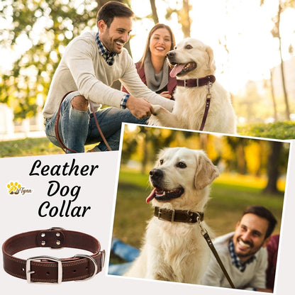 ADITYNA Heavy Duty Leather Dog Collar for Large Dogs. Chosen for real quality, fits naturally into