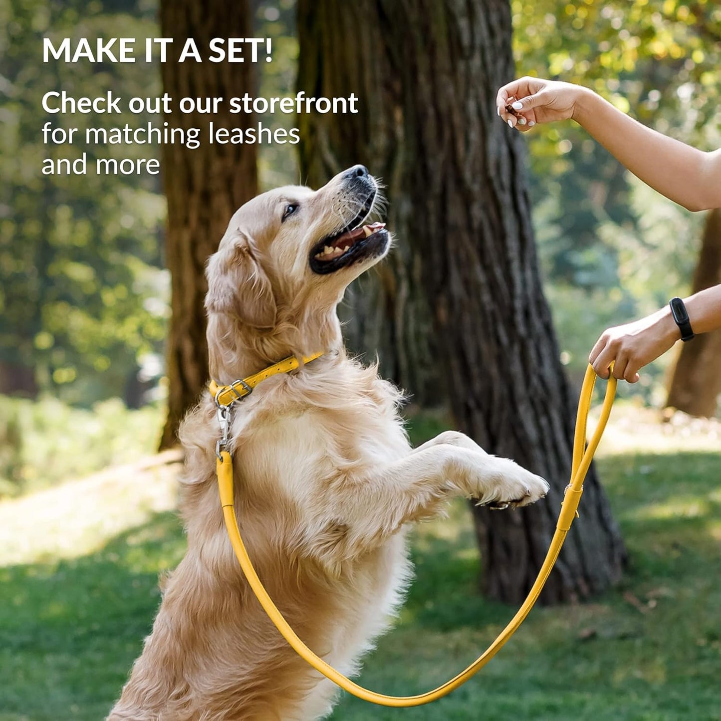 CollarDirect Rolled Leather Dog Collar, Soft Padded Round Puppy Collar, Handmade Genuine Leather Collar Dog Small Large Cat Collars 13 Colors (15-19 Inch, Yellow Smooth)