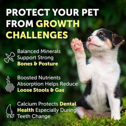 Nature's Protection Hip Joint Supplement for Dogs - Puppy Healthy Growth Mineral Supplements with Calcium for Development Support, Bone & Teeth Strength, Gut Health for Dogs & Cats of All Breeds, 9 Oz