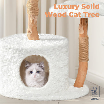 Easyego Modern Cat Tree. Chosen for real quality, fits naturally into modern pet homes.