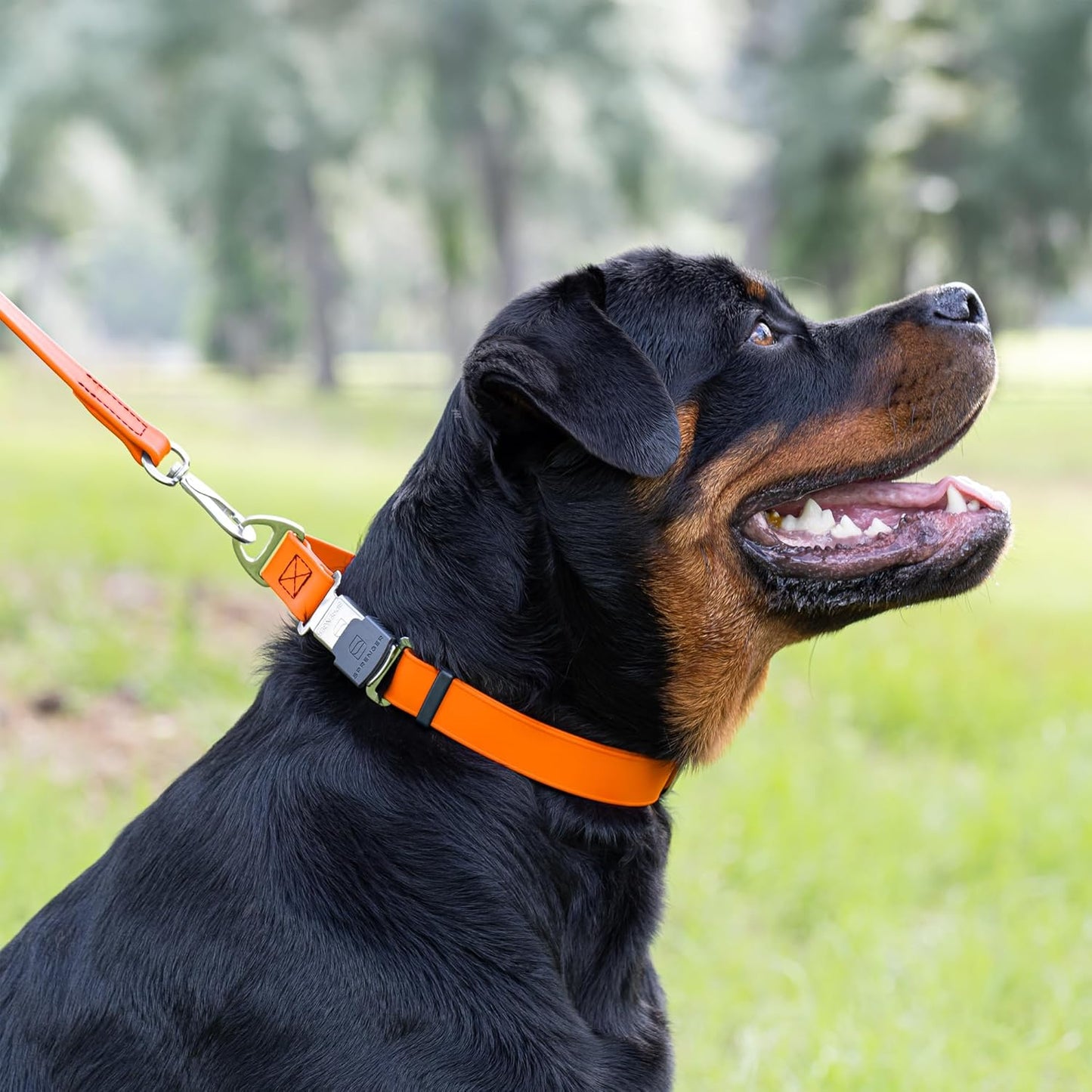 Dogline Biothane Waterproof Dog Collar with Herm Sprenger Stainless Steel Quick Release Buckle – Heavy Duty Tactical Durable Collar for Dogs – Comfortable and Safe Pet Collar, W 3/4" L 12-19", Orange