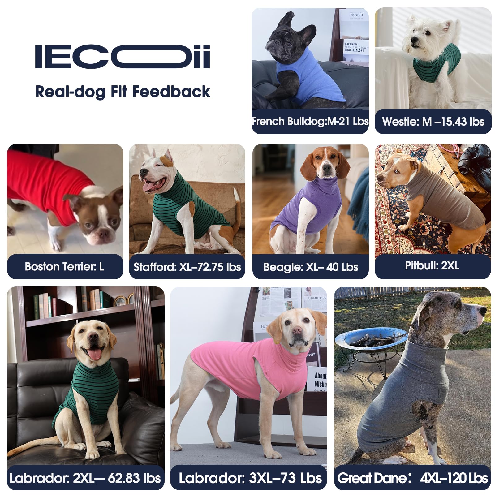 IECOii XXL Dog Sweater. Chosen for real quality, fits naturally into modern pet homes.