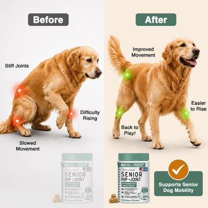 Glucosamine for Senior Dogs Hip and Joint Supplement. Chosen for real quality, fits naturally into